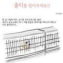 줄리 이미지