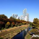 도곡2동 주민센터 이미지