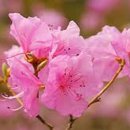 화정동물병원 이미지