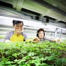 형국농장 이미지