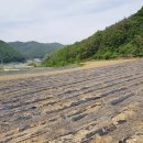 민가농장 이미지