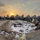 우일애견 이미지