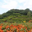 외도조경식물원 이미지