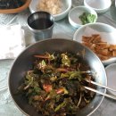 천궁송어