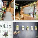 초보도 쉽게 따라 하는 힐링 홈가드닝 🌿 평옥로 25 드림원 식물공방 원데이 클래스 후기