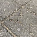 아무나사게 이미지