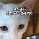 알미공원(중) 이미지