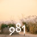 제주도 추석여행 모노리스 9.81파크에서 981데이 온 가족 즐겨봐