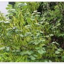 술 도둑놈 이미지