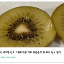 소랑다래랑 이미지