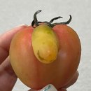 원치메디 | [창원 엘르메디] 방문 후기 -1 난임진단 검사