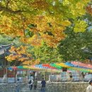 유로운