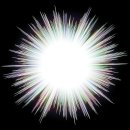 바이온트 이미지