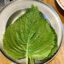 몽촌닭갈비 잠실 웨이팅 주말 방문 석촌호수 맛집 내돈내산 후기