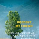 별이랑식물사랑 네이버블로그