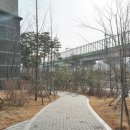 신내어린이집 이미지