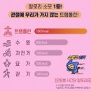 이지점핑다이어트