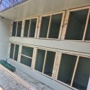 닭에미쳐 이미지