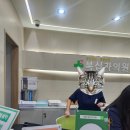 대한결핵협회 서울특별시지부 복십자의원 이미지