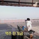 제주목화 이미지