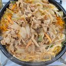 광주애견경매장 이미지