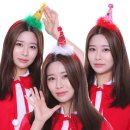 파티 쇼핑하우