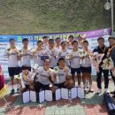 성일고등학교 이미지