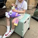 183센치 | 랄라카트 플렉시블 프리미어 XL 에버랜드 사용후기 내돈내산