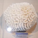 부산해양자연사박물관 이미지