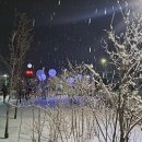 원통 중앙공원 이미지