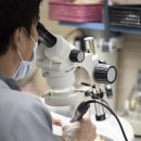 위드 치과기공소 이미지