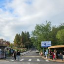 억새풀 | [공지] 서울 경치 명소 하늘공원 억새풀 축제 오픈런 후기 맹꽁이 열차 주차