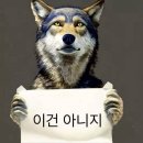 개빡센 하울링 시작