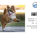 인덕원동물의료센터 이미지