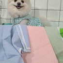 따숩개하우스 이미지