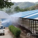 양돈 농장 이미지