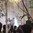 김성희푸드 | 웨딩디렉터의 시선으로 포항 더 누벨 하객 후기