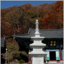 장경사 산신탱화 | 백련사(용인시 처인구 포곡읍 가실리 산43번지)-2012년11월3일 토요일-어주구리