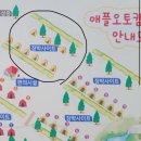 얼음골애플오토캠핑장