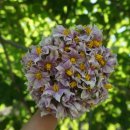 산모랭이 풀내음 이미지