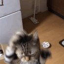 7월17일 (목) 충방출석부 ~ 법륜스님의 희망편지 이미지