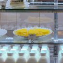 학골농장 | 가평 자라섬 카페 추천 : 수흥목장 직영 젤라또, 요거트 맛집 프롬밀크