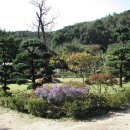 남경주유소 이미지