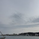 울산 북구 저렴하고 양많은 울산정자회센터 정자활어직판매장 울산여행 방문후기