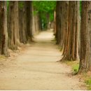 자동차가행복한집 이미지