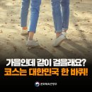 더코스코리아 이미지
