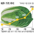 농부심 이미지