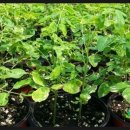 신가네농장 이미지