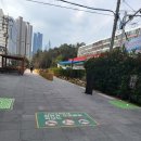 삼영일리아 이미지