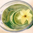 천보다원 이미지